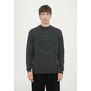 ACXo[O Y jbg&Z[^[ AE^[ MAGLIA GIROCOLLO - Jumper - antracite