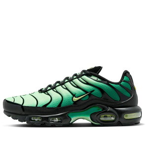 Nike iCL Y Xj[J[ yNike Air Max Plus 'Vapor Green Malachite Black' DM0032-301z TCY US_7.5(25.5cm)