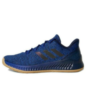 adidas �A�f�B�_�X �����Y �X�j�[�J�[ �yadidas Harden B/E X 'Mystery Ink' CG5980�z �T�C�Y US_10(28.0cm)