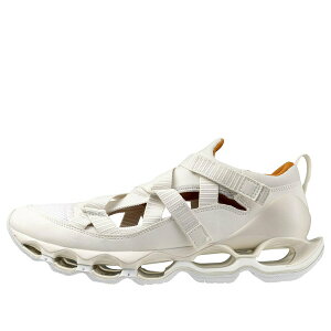 Mizuno �~�Y�m �����Y �X�j�[�J�[ �yMizuno Wave Prophecy Strap 'White' D1GA251902�z �T�C�Y US_7(25.0cm)