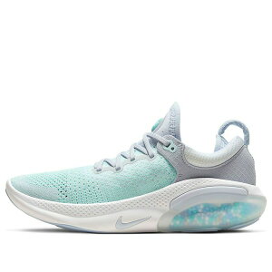 Nike �i�C�L ���f�B�[�X �X�j�[�J�[ �y(WMNS) Nike Joyride Run Flyknit 'Teal Tint' AQ2731-005�z �T�C�Y US_9.5(26.5cm)