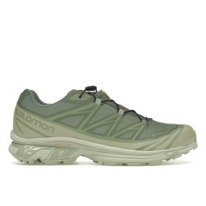 Salomon �T������ �����Y �X�j�[�J�[ �ySalomon XT-6 Gore-Tex Desert Sage Lily Pad�z �T�C�Y US_7(25.0cm) Desert Sage/Lily Pad/Laurel Wreath