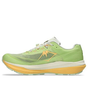 ASICS �A�V�b�N�X �����Y �X�j�[�J�[ �yASICS Fuji Speed 4 'Lime Green' 1013A179-300�z �T�C�Y US_12.5(30.5cm)