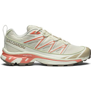 Salomon �T������ �����Y �X�j�[�J�[ �ySalomon XT-6 Expanse Vanilla Ice Cement�z �T�C�Y US_11.5(29.5cm) Vanilla Ice/Cement/Celadon Green