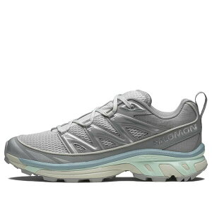 SALOMON T Y Xj[J[ ySALOMON XT-6 Expanse Seasonal 'Alloy' 477487z TCY US_10(28.0cm)