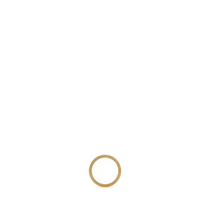 }^}WF Y O ANZT[ Gold 925 Silver Ring YELLOWGOLDPLATINGBURATATTO