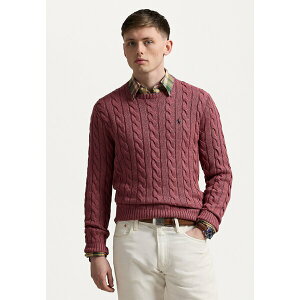 t[ Y jbg&Z[^[ AE^[ CABLE KNIT COTTON SWEATER - Jumper - prune juice