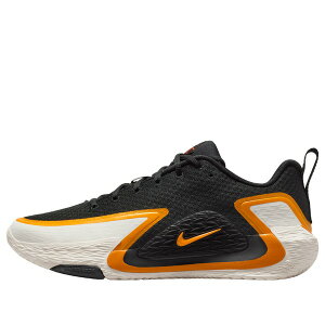 Nike �i�C�L �����Y �X�j�[�J�[ �yNike ST Glow EP 'Black Sail Gold' II2284-006�z �T�C�Y US_9.5(27.5cm)