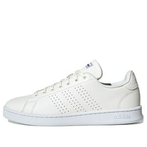 adidas AfB_X Y Xj[J[ yadidas Advantage 'White Trace Blue' EE7685z TCY US_6.5(24.5cm)