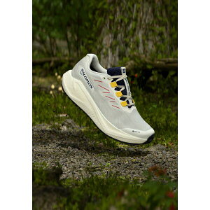 �T������ ���f�B�[�X �t�B�b�g�l�X �X�|�[�c AERO BLAZE 3 GRVL GTX - Trail running shoes - vanilla ice/astral aura/lemon
