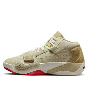 Jordan �W���[�_�� �����Y �X�j�[�J�[ �yAir Jordan Zion 2 'Fossil' DO8990-217�z �T�C�Y US_11(29.0cm)