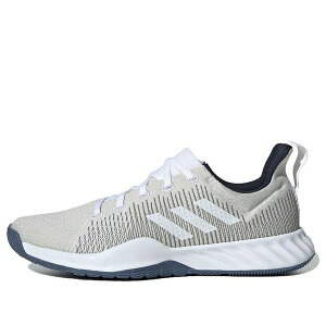 adidas �A�f�B�_�X �����Y �X�j�[�J�[ �yadidas Solar LT Trainer M 'Grey One' DB3403�z �T�C�Y US_8(26.0cm)