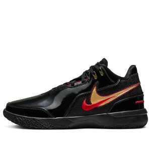 Nike �i�C�L �����Y �X�j�[�J�[ ���u���� �yNike Zoom LeBron NXXT Gen AMPD EP 'Black Metallic Gold' FJ1567-001�z �T�C�Y US_12(30.0cm)