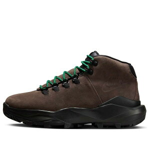 Nike �i�C�L �����Y �X�j�[�J�[ �yNike Cygnal 'Baroque Brown' FV4332-200�z �T�C�Y US_M_4.5