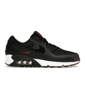 Nike iCL Y Xj[J[ yNike Air Max 90 Anthracite Team Redz TCY US_7.5(25.5cm) Anthracite/Black/Team Red/Summit White