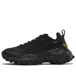 Reebok ���[�{�b�N �����Y �X�j�[�J�[ �yReebok Zig Kinetica 2.5 ADV Edge 'Black' 100074785�z �T�C�Y US_8(26.0cm)
