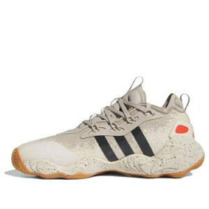 adidas �A�f�B�_�X �����Y �X�j�[�J�[ �yadidas Trae Young 3 'Wonder Beige' IF5602�z �T�C�Y US_12.5(30.5cm)
