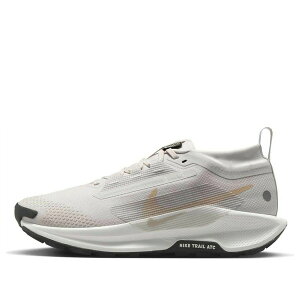 Nike �i�C�L ���f�B�[�X �X�j�[�J�[ �y(WMNS) Nike Pegasus Trail 5 Gore-Tex 'Vast Grey' FQ0912-008�z �T�C�Y US_9.5(26.5cm)