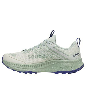 Saucony �T�b�J�j�[ ���f�B�[�X �X�j�[�J�[ �y(WMNS) Saucony Ride TR2 GTX 'Quartz Mist' S10953-260�z �T�C�Y US_6.5(23.5cm)