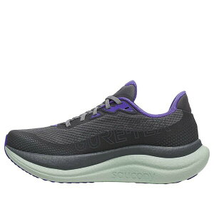 Saucony �T�b�J�j�[ ���f�B�[�X �X�j�[�J�[ �y(WMNS) Saucony Triumph 23 GTX 'Shadow Aloe' S11025-01�z �T�C�Y US_W_12