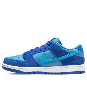 Nike �i�C�L �����Y �X�j�[�J�[ �yNike SB Dunk Low Pro 'Fruity Pack - Blue Raspberry' DM0807-400�z �T�C�Y US_M_15
