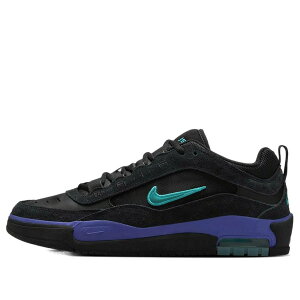 Nike �i�C�L �����Y �X�j�[�J�[ �yNike SB Air Max Ishod Wair 'Black Grape' FB2393-003�z �T�C�Y US_11.5(29.5cm)