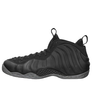 Nike �i�C�L �����Y �X�j�[�J�[ �yNike Air Foamposite One 'Stealth' 314996-010�z �T�C�Y US_7.5(25.5cm)