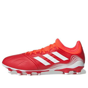 Rp ZX.3 HG/AG FY6190