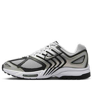 Nike iCL Y Xj[J[ yNike Air Pegasus 2005 'Metallic Silver White Black' HQ3031-002z TCY US_12(30.0cm)