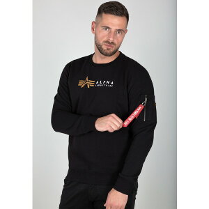 At@C_Xg[Y Y p[J[EXEFbgVc AE^[ ALPHA LABEL SWEATER - Sweatshirt - black