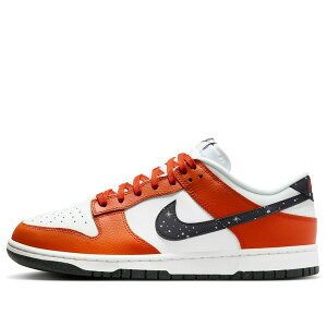 Nike �i�C�L �����Y �X�j�[�J�[ �yNike Dunk Low 'Night Sky' FV6909-800�z �T�C�Y US_11(29.0cm)