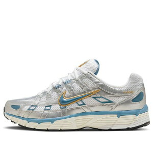 Nike iCL Y Xj[J[ yNike P-6000 'Metallic Silver Aegean Storm' HJ7246-100z TCY US_11(29.0cm)
