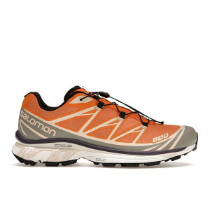 Salomon �T������ �����Y �X�j�[�J�[ �ySalomon XT-6 Apricot Buff�z �T�C�Y US_11.5(29.5cm) Apricot Buff/Frost Gray/Velvet Morning