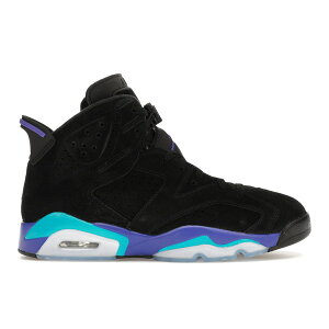 Jordan �W���[�_�� �����Y �X�j�[�J�[ �yJordan 6 Retro Aqua�z �T�C�Y US_11.5(29.5cm) Black/Bright Concord/Aquatone
