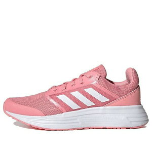 adidas AfB_X fB[X Xj[J[ Pink/Blue y(WMNS) adidas Galaxy 5 'Pink' FY6746z TCY US_5.5(22.5cm)