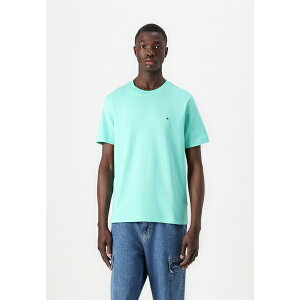 g~[ qtBK[ Y T_ V[Y SEASONAL SOLID TEE - Basic T-shirt - light jade green