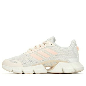 adidas AfB_X fB[X Xj[J[ Cream/Pink y(WMNS) adidas Climacool 'White Tint' H01187z TCY US_5(22.0cm)