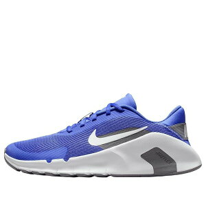 Nike �i�C�L ���f�B�[�X �X�j�[�J�[ �y(WMNS) Nike Flex Train 'Sapphire Pencil Point' HV9981-500�z �T�C�Y US_W_11
