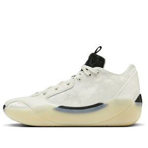 Jordan �W���[�_�� �����Y �X�j�[�J�[ �yAir Jordan 39 PF 'No Alteration' FQ0214-104�z �T�C�Y US_7(25.0cm)