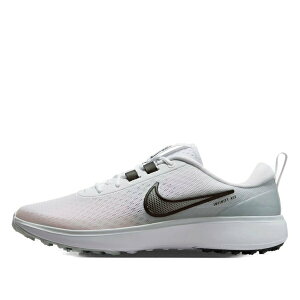 Nike �i�C�L �����Y �X�j�[�J�[ �yNike Infinity Ace Next Nature 'White Pure Platinum' DX0127-100�z �T�C�Y US_10(28.0cm)
