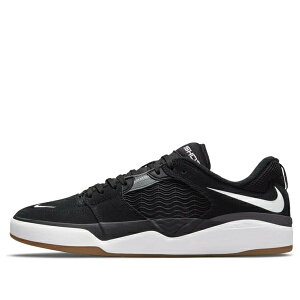 Nike �i�C�L �����Y �X�j�[�J�[ �yNike Ishod Wair SB 'Black White' DC7232-001�z �T�C�Y US_7(25.0cm)