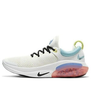 Nike �i�C�L ���f�B�[�X �X�j�[�J�[ �y(WMNS) Nike Joyride Run Flyknit 'Sunbleach' AQ2731-101�z �T�C�Y US_6(23.0cm)