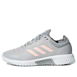 adidas AfB_X fB[X Xj[J[ Grey/Orange y(WMNS) adidas Climaheat All Terrain 'Grey Orange' AC8391z TCY US_5.5(22.5cm)