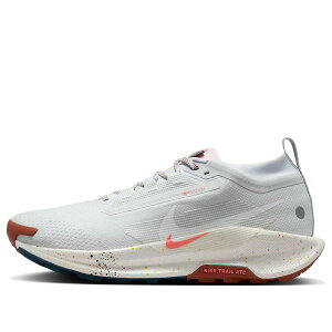 Nike �i�C�L �����Y �X�j�[�J�[ �yNike Pegasus Trail 5 Gore-Tex 'Pure Platinum Pink Foam' FQ0908-009�z �T�C�Y US_9.5(27.5cm)