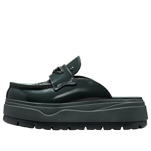 Jordan �W���[�_�� ���f�B�[�X �X�j�[�J�[ �y(WMNS) Air Jordan Mule SE 'Anthracite Metallic Silver' IO7702-001�z �T�C�Y US_5(22.0cm)