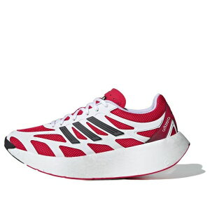adidas AfB_X Y Xj[J[ yadidas Adizero Aruku 'Pure Ruby' JI0308z TCY US_M_13