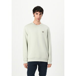 g~[qtBK[ Y T_ V[Y BADGE CREW - Sweatshirt - misty sage tonal