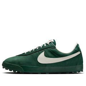 Nike iCL Y Xj[J[ yNike Astro Grabber 'Fir Phantom' IH2341-300z TCY US_12.5(30.5cm)