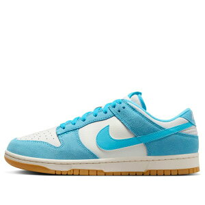 Nike iCL Y Xj[J[ yNike Dunk Low 'Baltic Blue' HQ1519-031z TCY US_10(28.0cm)