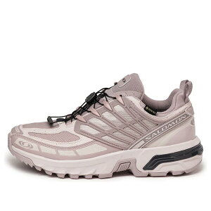 SALOMON T Y Xj[J[ ySALOMON ACS Pro Gore-Tex 'Cloud Grey Lilac Ash' 475996z TCY US_12(30.0cm)